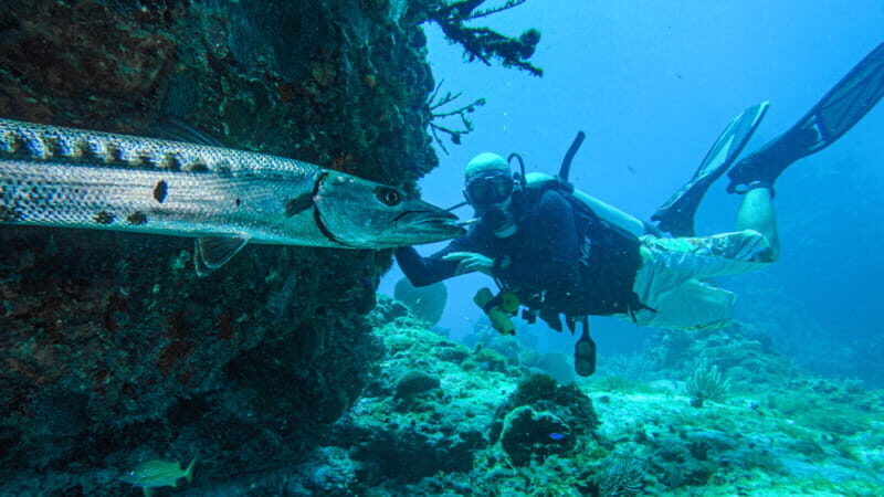 Cancún: Wreck and Reef for Certified Scuba Divers - Final Thoughts