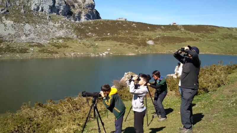 Cangas de Onís: Lakes of Covadonga Guided Tour - Who Will Love This Tour?