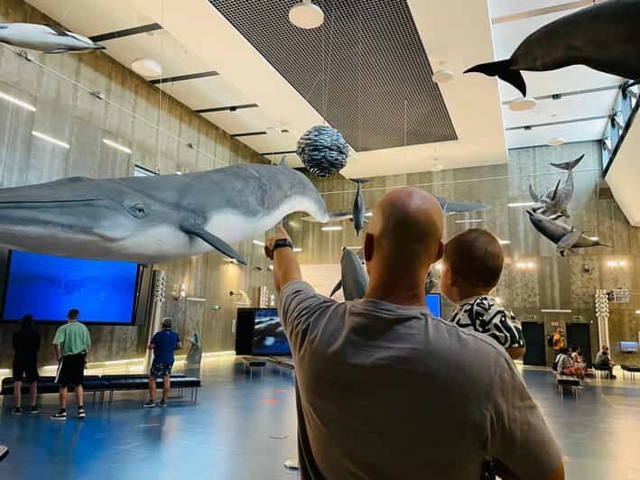 Caniçal : Madeira Whale Museum Entry ticket - Key Points