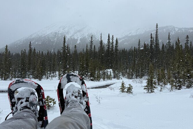 Canmore 2 Hour Guided Snowshoeing Adventure with Transportation - Key Points