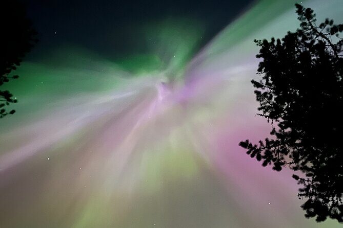 Canmore: ALL Inclusive Campfire Experience with Stargazing - Who Will Love This Tour?