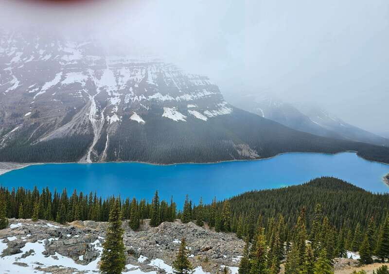 Canmore/Banff: Columbia Icefield, Skywalk, Peyto Day Tour - The Itinerary in Detail