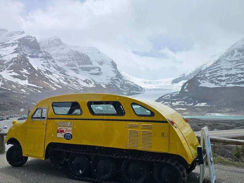 Canmore/Banff: Columbia Icefield, Skywalk, Peyto Day Tour - The Cost and Its Value