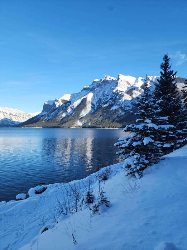 Canmore/Banff: Explore Banff & Wildlife - Exploring Banff & Wildlife: A Practical Guide to This Scenic Tour