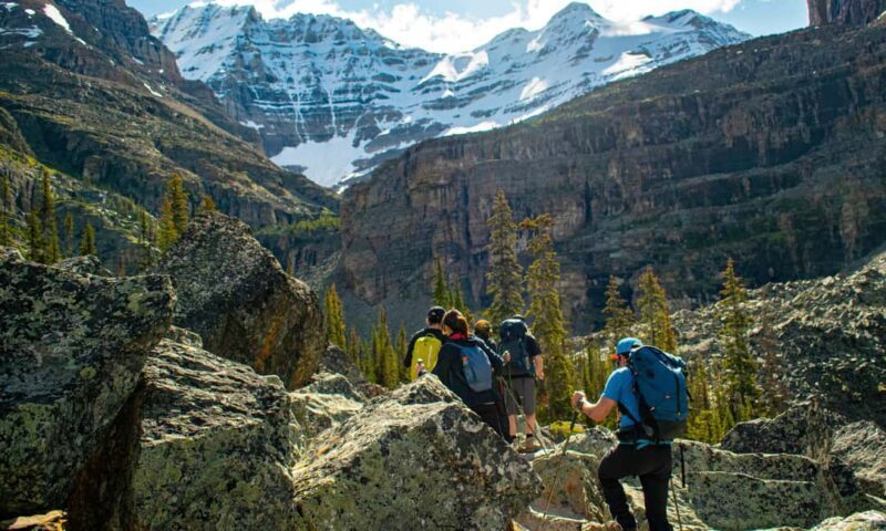 Canmore/Banff: Premium hiking tours in Banff region - The Value of This Tour