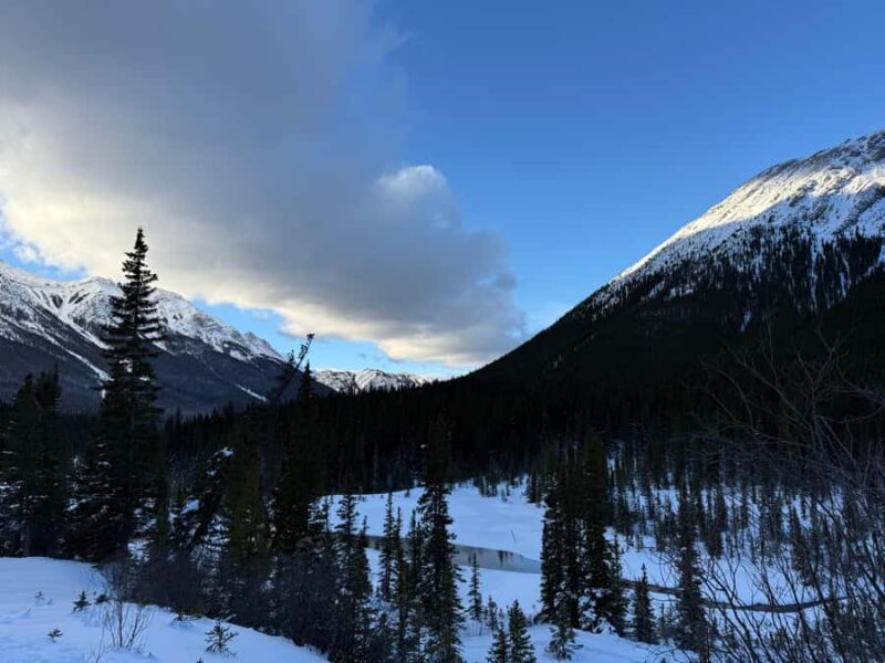 Canmore/Banff Snowshoeing Adventure Including Transportation - What the Snowshoeing Trek Offers
