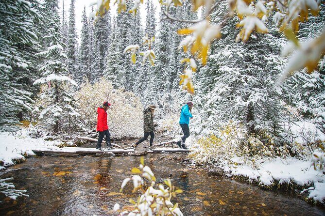 Canmore Explore Winter Wildlife Tracks 2hr Nature Walk - An In-Depth Look at the Canmore Wildlife Tracks Walk