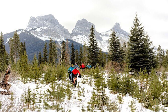 Canmore Explore Winter Wildlife Tracks 2hr Nature Walk - Why This Tour Might Be Perfect for You