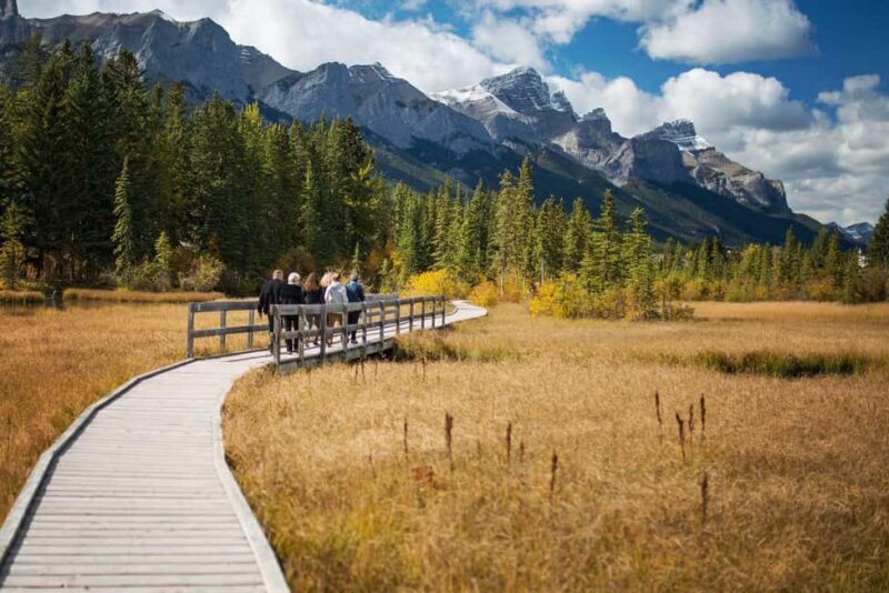 Canmore: Medicinal and Edible Plants, 2-hour Nature Walk - Final Thoughts