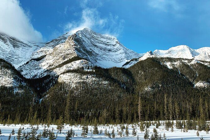 Canmore: Wilderness & Wildlife Tour - 2hr Walk - FAQ