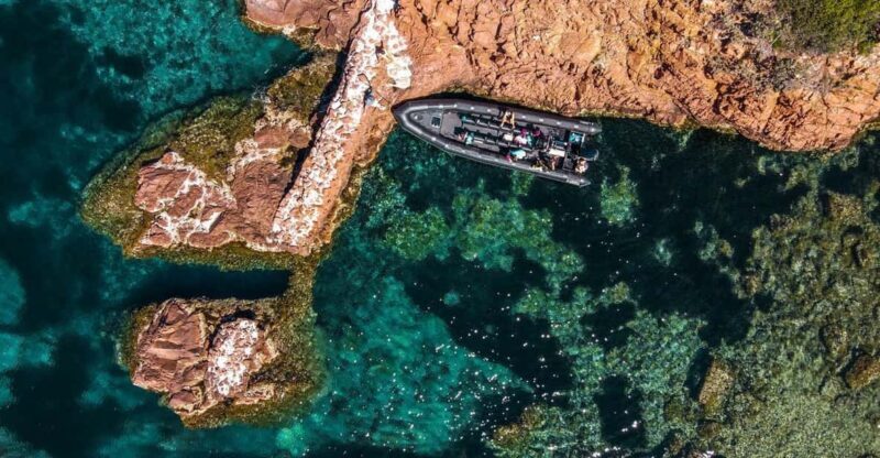 Cannes: 2.5-Hour Esterel Calanques Boat Excursion - Key Points