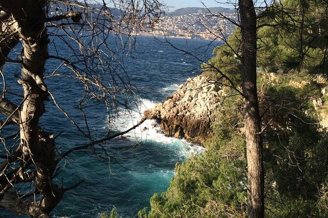 Cannes Large Group Shore Excursion with a Minibus 15 seater - What’s Included and What to Consider