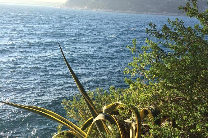 Cannes Large Group Shore Excursion with a Minibus 15 seater - The Practical Side: Timing, Groups, and Booking