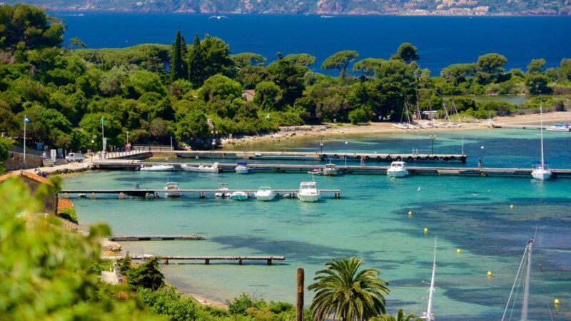 Cannes: Private Boat Trip to Lerins Islands & Cap d'Antibes - Who Is This Tour Best For?