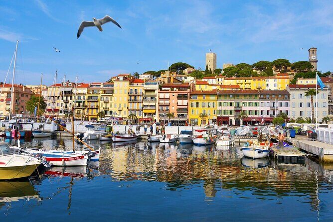 Cannes Private Tour: Film Festival, Secrets & Stunning views - FAQ