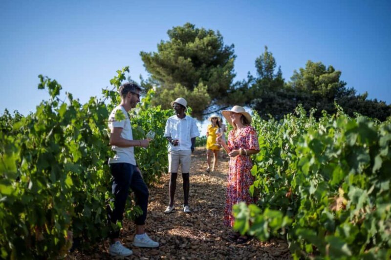 Cannes: Provence Wine Tour - Private Tour from Cannes - The Logistics and Value