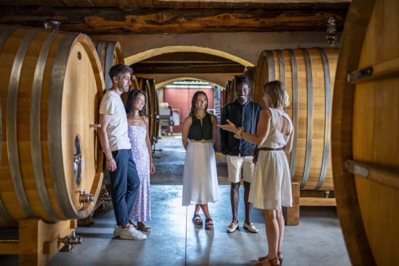 Cannes: Provence Wine Tour - Private Tour from Cannes - The Sum Up