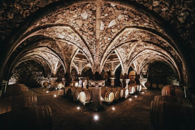 Cannes: Provence Wine Tour - Private Tour from Cannes - FAQs