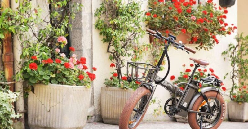Cannes: rent an E-bike to visit the city - Why Consider This E-bike Tour?