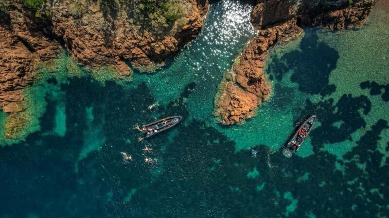 Cannes: Scenic Coves RIB Boat Tour - The Experience: Who Will Love It?