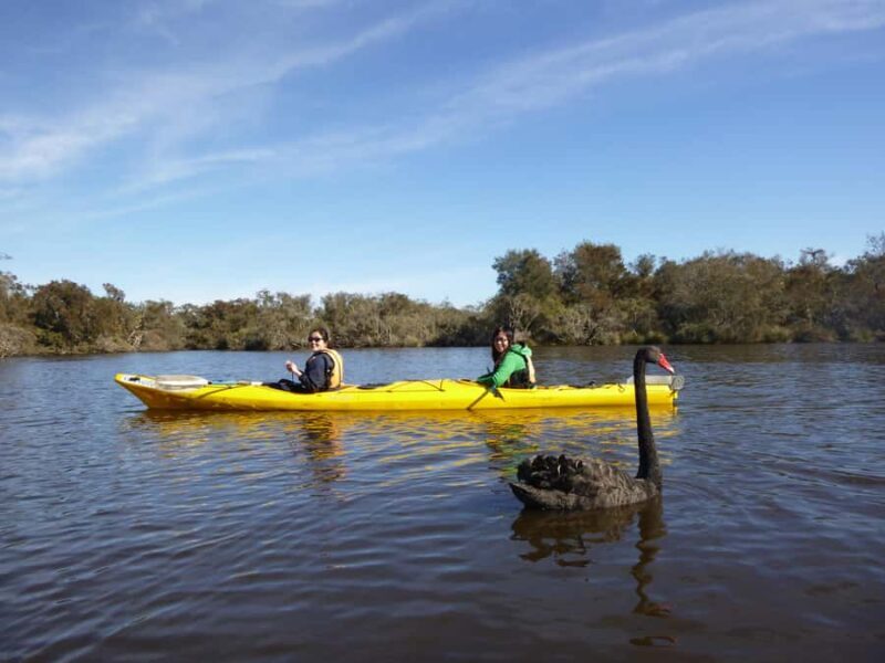 Canning River Half-Day Kayak Wildlife Tour - The Sum Up: Why This Tour Is Worth Your Time