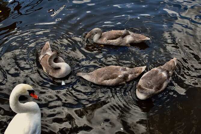 Canoe Adventure Tour Through Prague - The Sum Up
