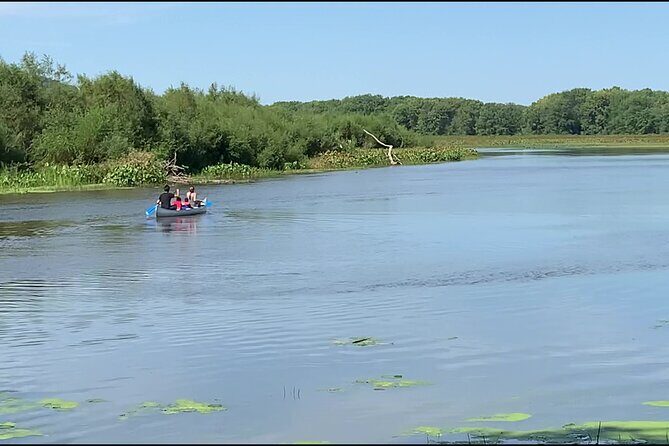 Canoe/Kayak Day Tour of Mississippi Wildlife & Fish Refuge - Frequently Asked Questions