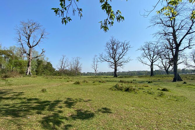 Canoeing and Nature Walk in Chitwan National Park - The Itinerary in Detail