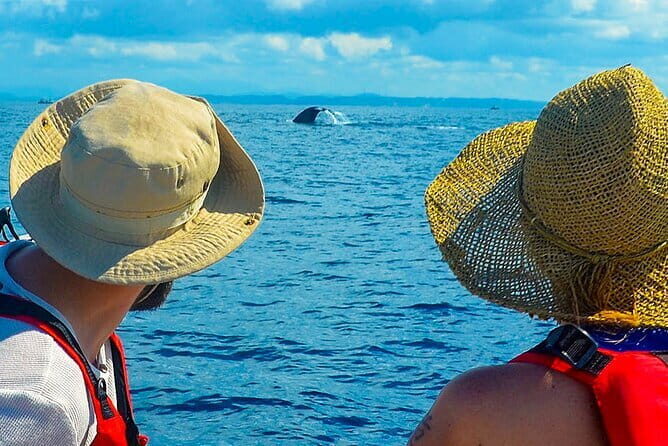 Canoeing Ride Hikkaduwa Beach - The Sum Up