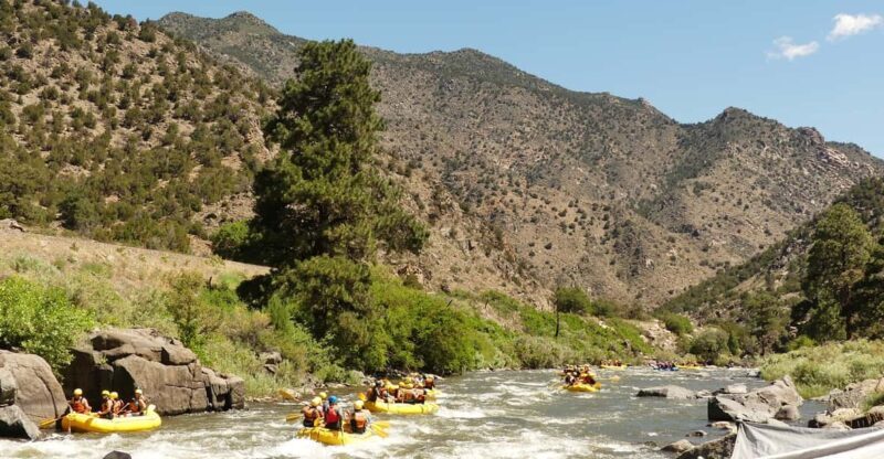 Cañon City: Bighorn Sheep Canyon Guided Rafting Adventure - An Overview of the Experience