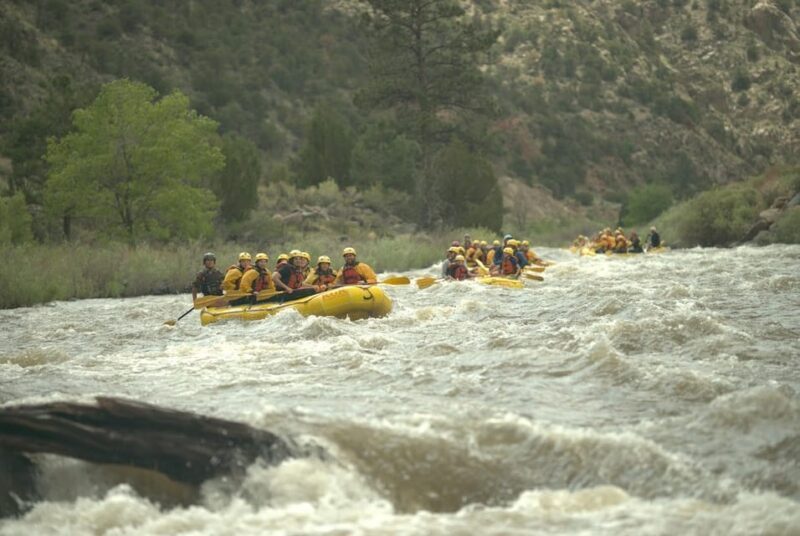 Cañon City: Bighorn Sheep Canyon Guided Rafting Adventure - Who Will Love This Trip?