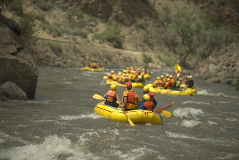 Cañon City: Bighorn Sheep Canyon Guided Rafting Adventure - The Sum Up