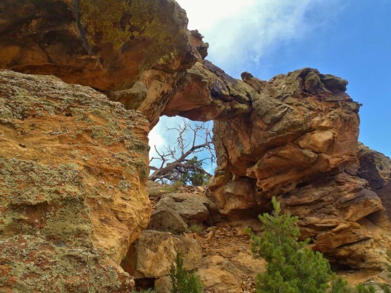 Cañon City: Colorado Jeep Tours - Red Canyon Half-Day Tour - FAQ