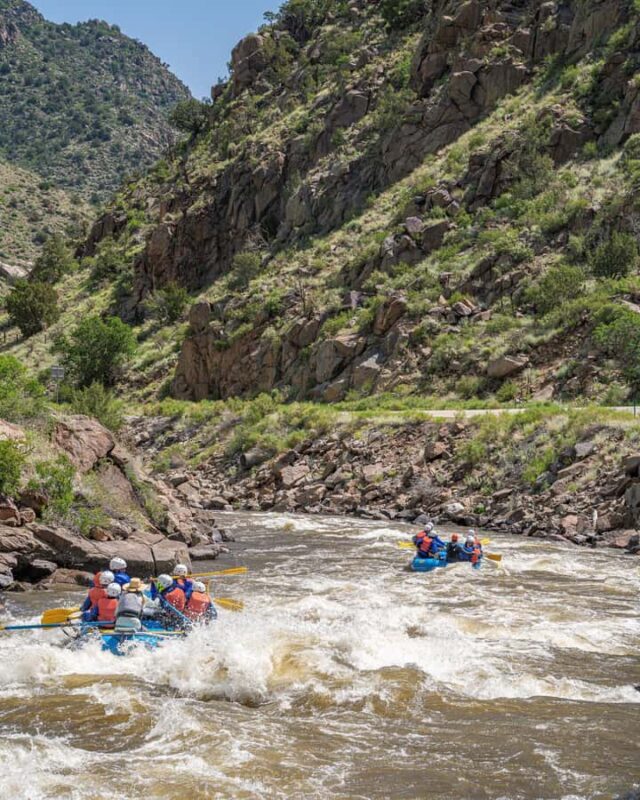 Cañon City: Half-Day Bighorn Sheep Canyon Rafting Tour - Key Points