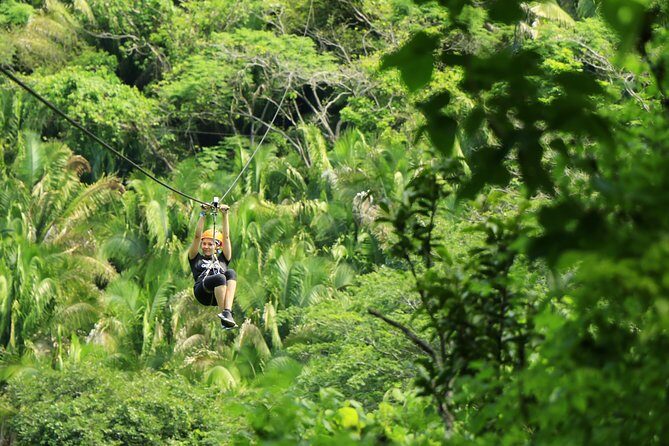 Canopy River Zipline Tour and Mule Ride - Introduction