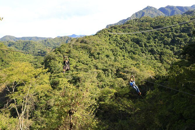 Canopy River Zipline Tour and Mule Ride - Overview of the Experience