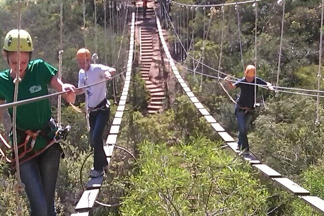 Canopy Tour and ATV Tour In Ensenada - Who Is This Tour Best For?