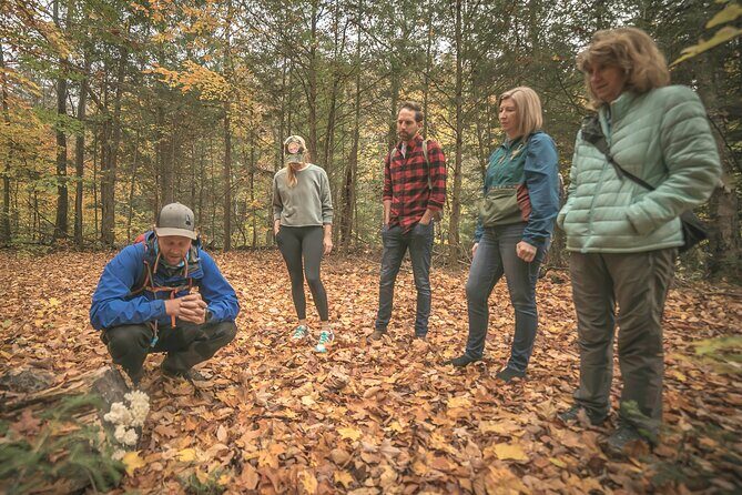 Canopy Tour at Haliburton Forest - Pricing and Value