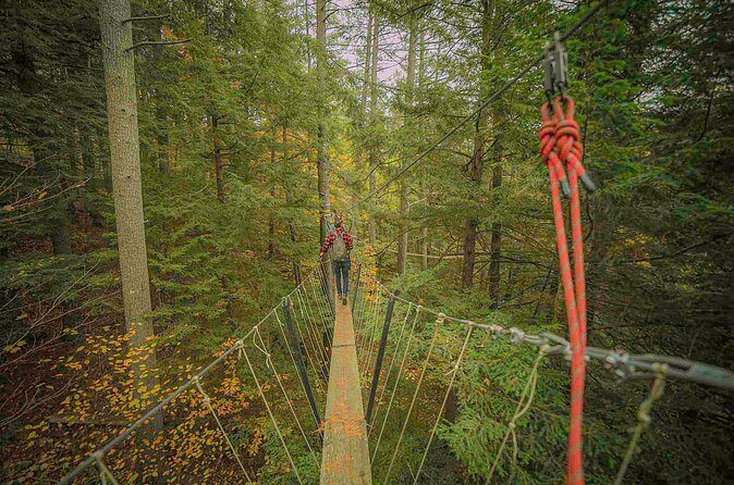 Canopy Tour at Haliburton Forest - Who Will Love This Experience?