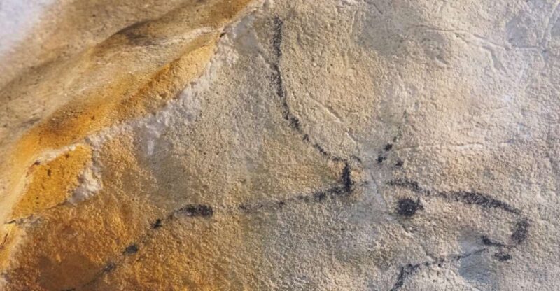 Cantabria: El Castillo Caves & Paleolithic Art - Key Points