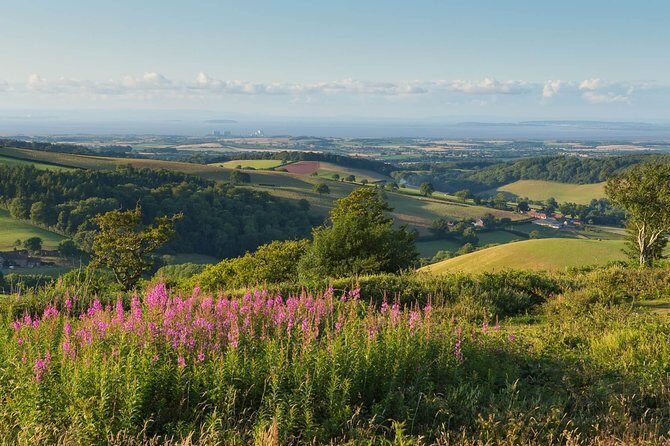 Canterbury & the White Cliffs of Dover Tour (Small-Group) - The Sum Up