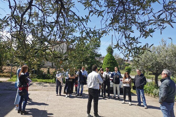 Cantine d'Irpinia: visit and tasting Taurasi from ancient vineyards - The Sum Up: Who Will Love This Tour?