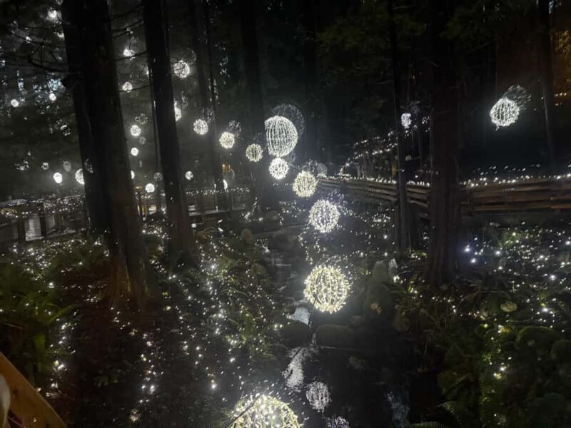 CANYON LIGHTS+Capilano Suspension Bridge/Small Group/CAR - Key Points