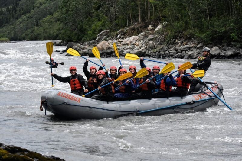 Canyon Run: Denali National Park Class IV Whitewater Rafting - Risk and Safety Considerations