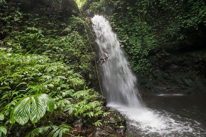 Canyoning Bali : Anahata CANYON (Adventure, discovery, nature) - Detailed Breakdown of the Experience
