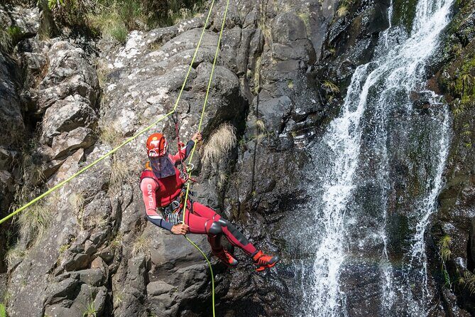 Canyoning in Madeira: Ideal for Beginners and Families - Pricing and value