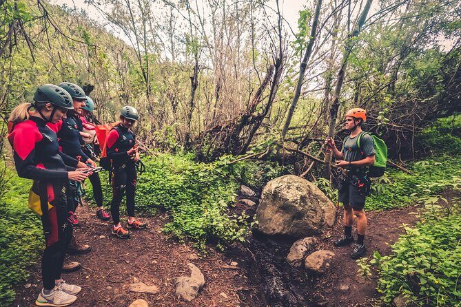 Canyoning with Waterfalls in the Rainforest - Small Groups - Who Is This Tour Best For?
