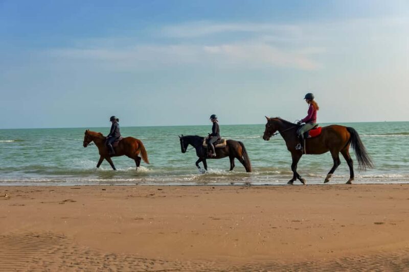 Caorle: Brewery Guided Tour&Tasting in Brussa Natural Oasis - An Authentic Look into Veneto’s Craft Beer Scene
