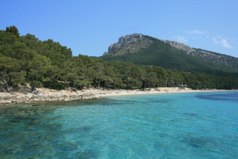Cap de Formentor: Market, Beach, and Alcudia Tour - FAQs