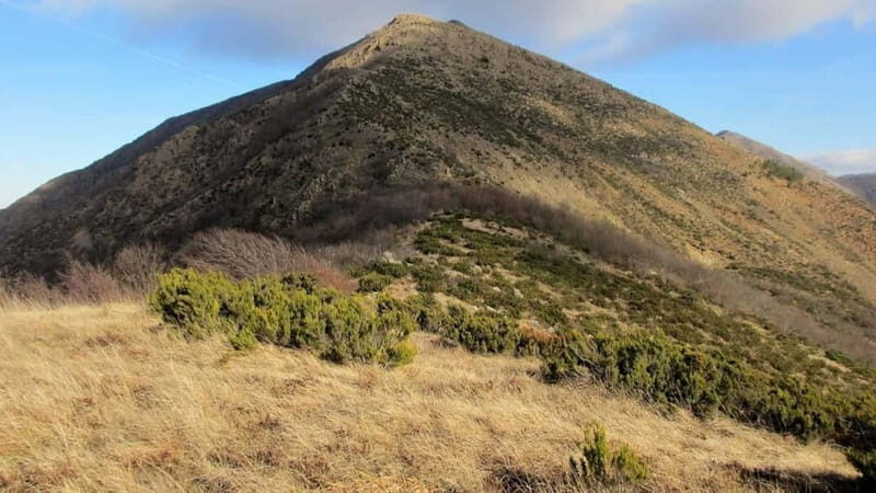 Capanne di Marcarolo Park: hiking on Mount Tobbio - Exploring Capanne di Marcarolo: A Natural and Historical Treasure
